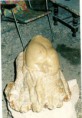 /album/galeria-de-obras/a259881-jpg/
